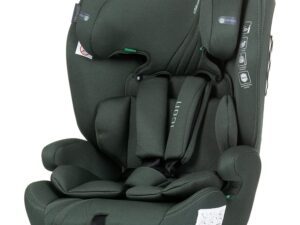Scaun Auto Chipolino Icon