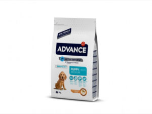 Advance Dog Medium Puppy Protect - 3 kg