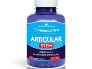 Articular Stem