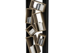 Biblioteca CARMEN