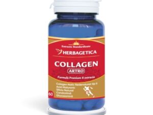 Collagen Artro