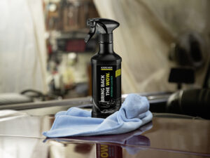 Solutie pentru curatat interiorul auto RM 651