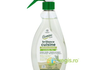 Detartrant (Anticalcar) si Degresant pentru Bucatarie cu Parfum de Eucalipt 500ml
