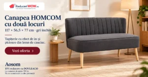 Aosom DOVLEAC10 – canapea HOMCOM gri închis cu două locuri