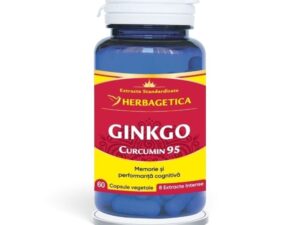 Ginkgo Curcumin 95