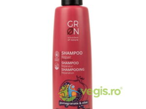 Sampon Reparator cu Masline si Rodie Rich Elements Ecologic/Bio 250ml