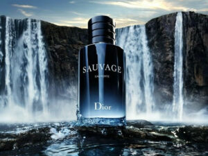 Dior Dior