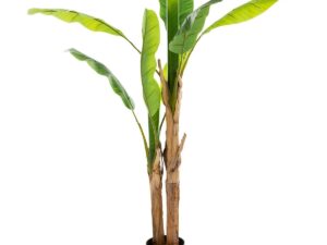 Planta artificiala bananier dublu cu ghiveci