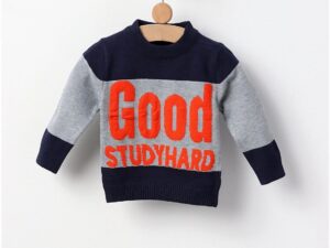 Pulover GOOD STUDYHARD albastru-gri