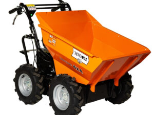Roaba Motorizata Detoolz DZ-CC1075-G01